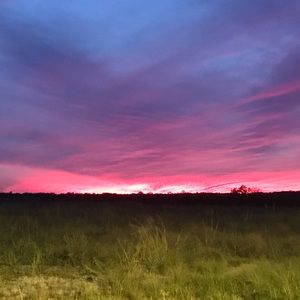 Meet your Posher, Erika